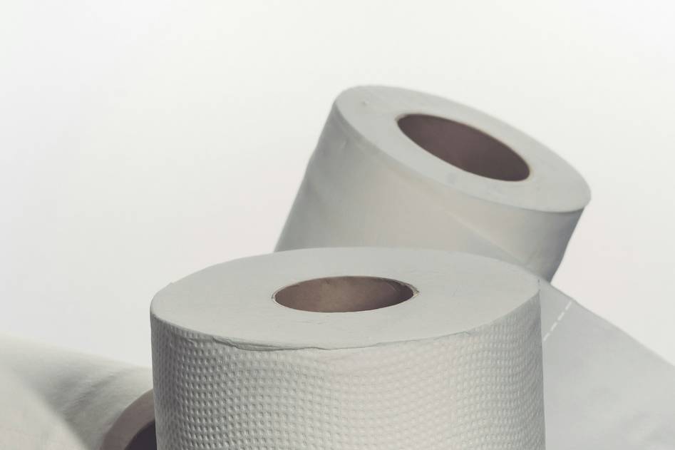 Close-up of hand holding a roll of biodegradable toilet paper next to bamboo plants