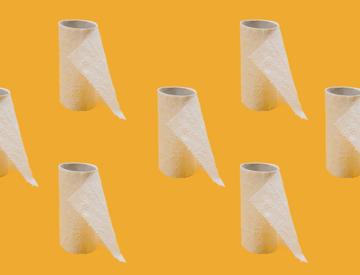 Roll of eco friendly toilet paper australia beside native Australian plants and a compost bin
