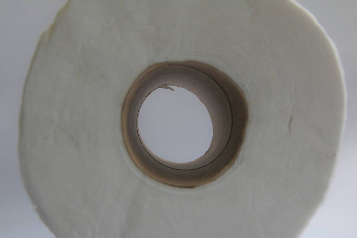 Most eco friendly toilet paper unrolled beside bamboo plant and compost bin