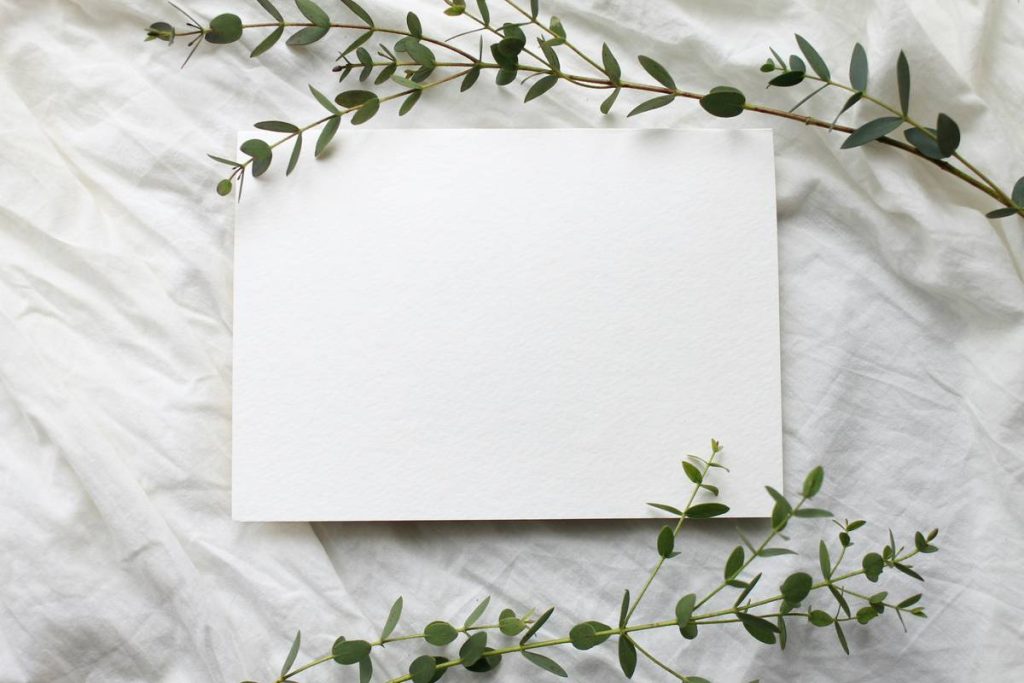 Eco Friendly Toilet Paper Canada: 7 Proven Tips to Avoid Costly Mistakes