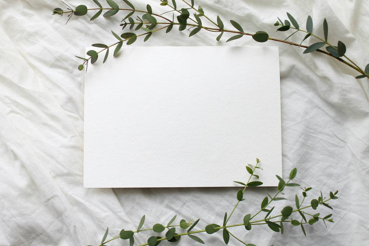 Eco Friendly Toilet Paper Canada: 7 Proven Tips to Avoid Costly Mistakes
