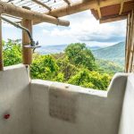 Eco Friendly Toilet Paper Subscription: 7 Proven Ways to Avoid Costly Mistakes