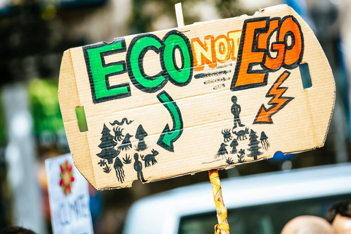 Biodegradability and Environmental Impact: 7 Proven Reasons to Rethink Your Toilet Paper Today