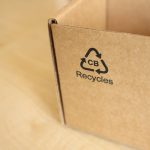 Biodegradable and Non Biod: 7 Proven Reasons to Avoid the Greenwashing Trap