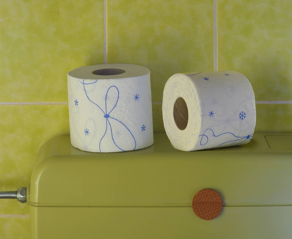 advantages of biodegradable waste shown through compostable toilet paper breaking down in soil next to conventional roll